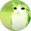 n qq Avatar